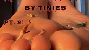 Tied And Tickled By Tinies Part 2!- Starring Smokin Rose