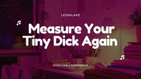 Measure Your Tiny Dick Again - MP3 Audio SPH - LeighLake