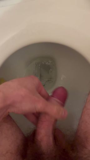 Jerking off to the toilet