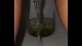 Mi se&ntilde_ora Meando