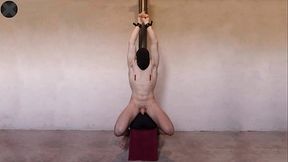 Student Restrained On The Sybian - Multiple Prostate HFO Orgasms