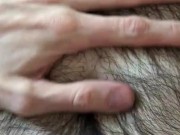 Otter wants you to play with his fur