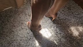 Balbina ultrasexy BBW Pantyhose Goddess Teasing and JOI session