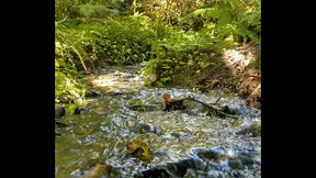 Gushing Fairy river squirts magic