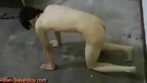 Trained Tight: Smooth Asian Bottom Takes Command in Steamy BDSM Ride – 18+