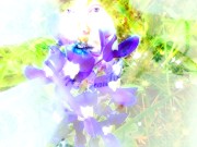 Erotic Spring Artistic FTM Queer Solo