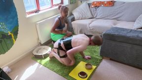 Basic Human Dog Training: Obedience Commands for Beginners