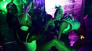 Alice in Wonderland Honey x Imani the MuseOfficial