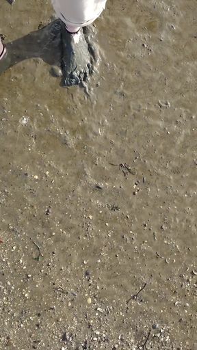Short Test in the Mudflats on the Beach of Horumersiel