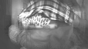 Krushed these Bitches (RearView) by Queen Krusha