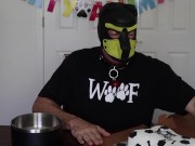 Puppy get a bone cake for their Birthday