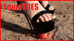 Tomatoes