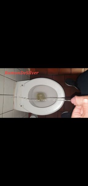 Master Ramon fulfills a slave&#039;s wish in a public toilet and he was then allowed to lick everything clean, why not