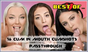16 Cum in Mouth and Facial Cumshots Passthrough