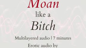 Moan like a Bitch (multi-layered audio)