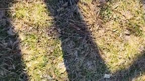 Tempest walking on a windy day