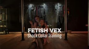 Shock Collar Training