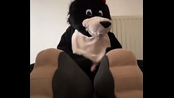 Furry on a video call