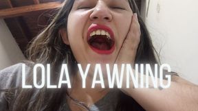 Lola's yawns