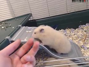 SammySable Jan 31 2016 cam show