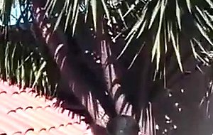 Tiny tranny drilled outdoors