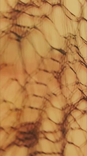 BBW Milf MaskedMomWife Blows And Gets Fucked   Clip 1