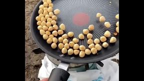 Comida para gallinas