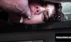 Ravenous brunette Effie Diaz devours warm delicious cum