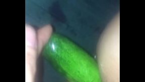 dưa leo v&agrave_ lổ đ&iacute_t