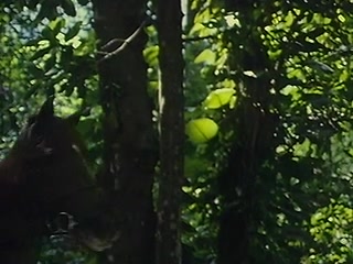 Die Geschichte der O - Die Rueckkehr aus Roissy - Teil 1