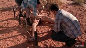 Ambers Torment In The Desert