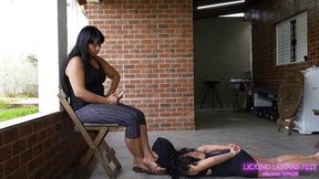 INARA - At your feet on the veranda!