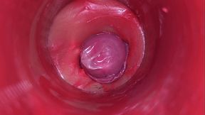 CAMERA INSIDE PUSSY: POWERFULL CUM IN PUSSY! BEST Internal ASMR in 4K