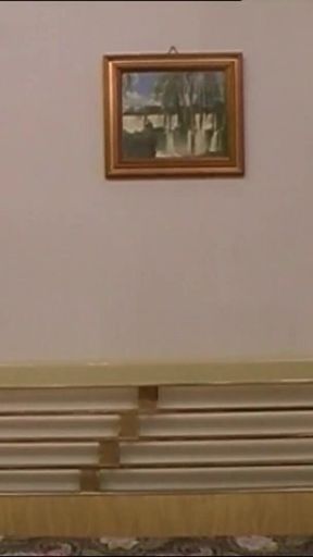 Fabiana Likes Everything