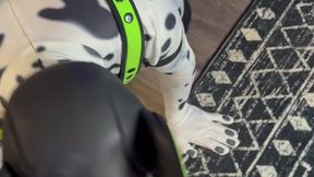 Puppy Play With Sydney Paige And Simone