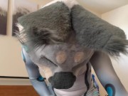A horny lynx jerks off in his petsuit