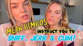 MEAN BIMBOS instruct you to SNIFF JERK & CUM | JOI