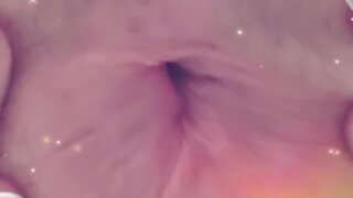 Anus on vacation: an lgbt+ journey lgbt+ vacation