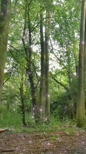 Fully Naked Walk in a Forest