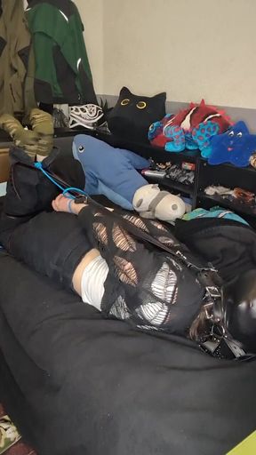 Trying Head Harnes Hogtie