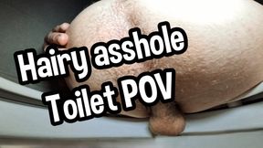Hairy ass toilet POV