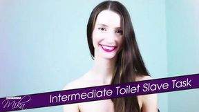 Intermediate Toilet Slave Training