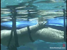 Dragonlily and audrey leigh