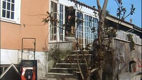 Hairy cock in hairy pussy licking sucking in the garden