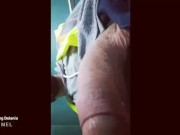 Latino Floppy Cock at work uniform Compilation