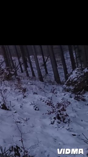 Nude Nature in Winter