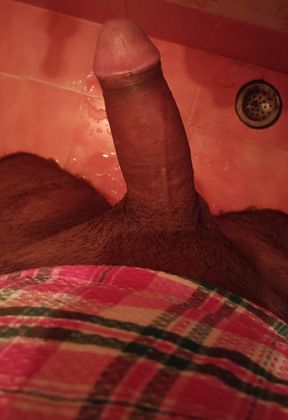 Telugu cock