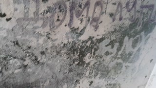 On the first date I licked my in the toilet of the park, risky sex - lesbian_illusion