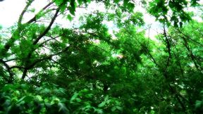 Porn Stars Private - Full Movie