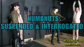 V5 Retribution: Clip 5.3 Numbnuts Suspended and Interrogated